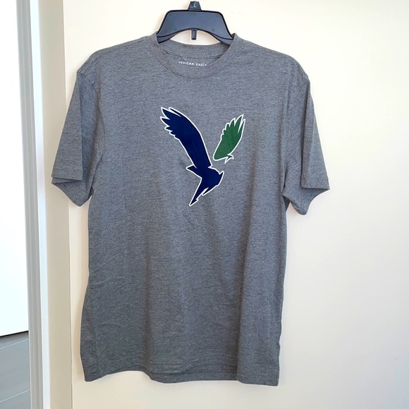 American Eagle Outfitters Other - AE Men's Soft Graphic Logo T-Shirt- Gray/Green/Blue M